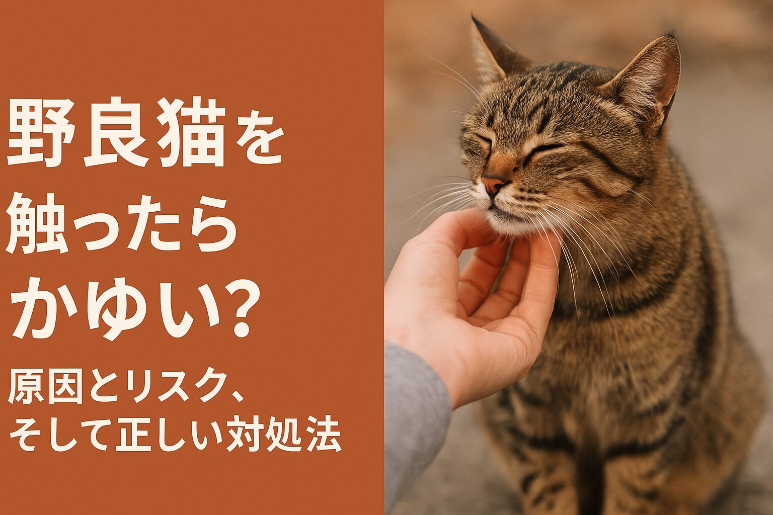 野良猫 触る かゆい