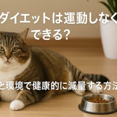 猫のダイエット：運動しない猫でも体重を減らす完全ガイド