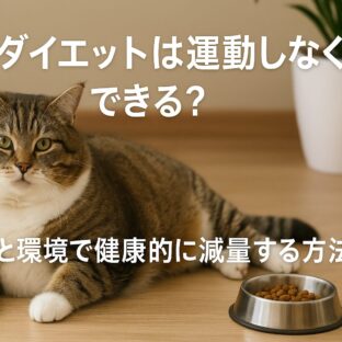 猫のダイエット：運動しない猫でも体重を減らす完全ガイド