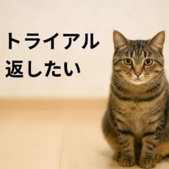 保護猫のトライアル期間で返したいと思ったら？保護主と譲受人の気持ちを紡ぐ