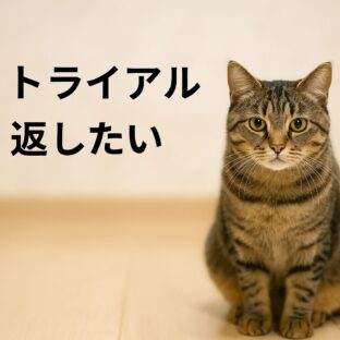 保護猫のトライアル期間で返したいと思ったら？保護主と譲受人の気持ちを紡ぐ