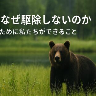 熊はなぜ駆除しないのか?法律と共生の道を徹底解説