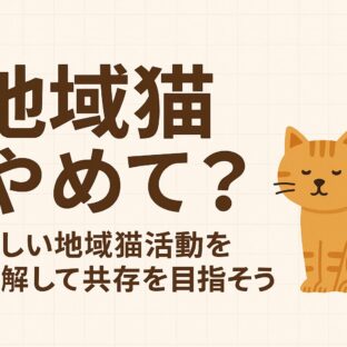 「地域猫 やめて」と言われる前に知っておきたい本当の地域猫活動