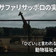 ノースサファリサッポロがひどい｜動物福祉から見た問題点と私たちができること