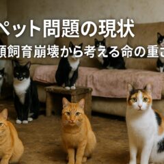 ペット問題の現状：深刻化する多頭飼育崩壊と私たちにできること