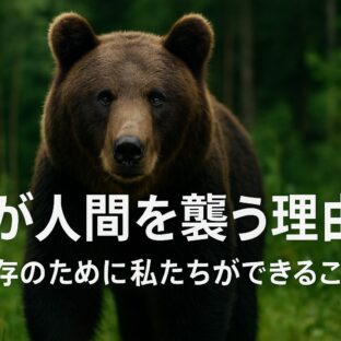 熊が人間を襲う理由と対策:共存への道を探る