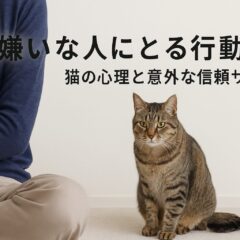 猫が自分が嫌いな人にとる行動とは?猫に嫌われるサインと対処法