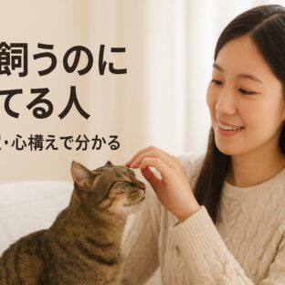 猫を飼うのに向いてる人の特徴とは？失敗しないための完全ガイド