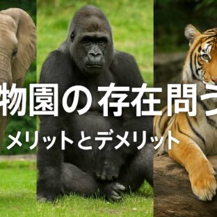 動物園の存在 メリット デメリット – 動物福祉の視点から考える