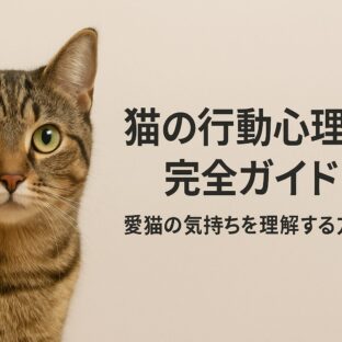猫の行動心理学完全ガイド – 愛猫の気持ちを理解する方法