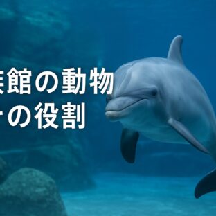 水族館の動物福祉とその役割|私たちが本当に応援したい水族館とは