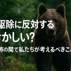 熊駆除反対派は頭おかしい？その議論の前に知っておくべきこと