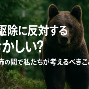熊駆除反対派は頭おかしい?その議論の前に知っておくべきこと