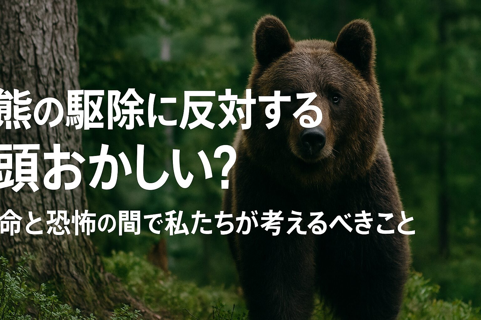 熊 駆除 反対 頭おかしい