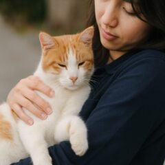 保護猫とリターン：地域猫活動で直面する葛藤と判断基準