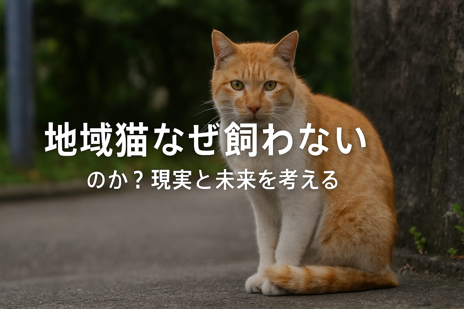 地域猫 なぜ飼わない