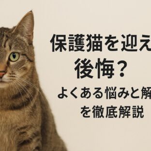 保護猫を迎えて後悔?よくある悩みと解決策を徹底解説