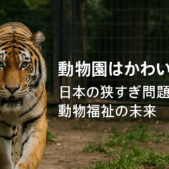 動物園の動物はかわいそう？日本と海外の環境格差から考える動物福祉
