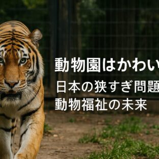 動物園の動物はかわいそう?日本と海外の環境格差から考える動物福祉