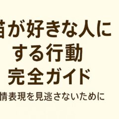 猫が好きな人にする行動完全ガイド|愛情表現を見逃さないために
