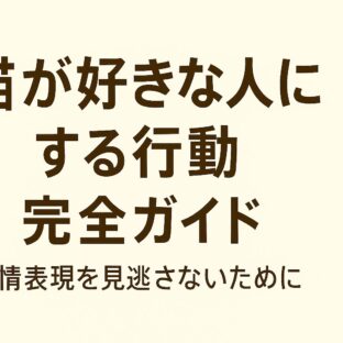 猫が好きな人にする行動完全ガイド|愛情表現を見逃さないために