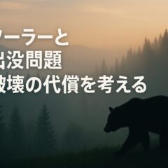 メガソーラーと熊の出没問題：自然破壊の代償を考える