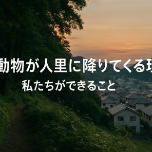 野生動物が人里に降りてくる理由とは?イノシシに遭遇した体験から考える共存への道