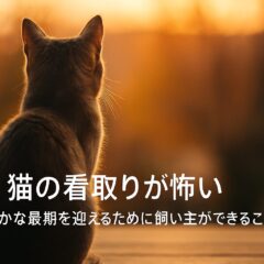 愛猫の看取りが怖いあなたへ｜穏やかな最期のために知っておきたいこと