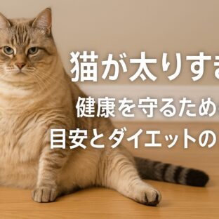 猫の太りすぎは危険信号！健康リスクと適切な体重管理の方法