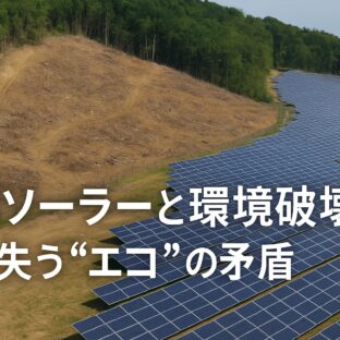メガソーラーと環境破壊:再生可能エネルギーの光と影