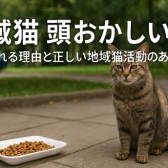 地域猫活動が「頭おかしい」と言われる理由と正しい共存の道
