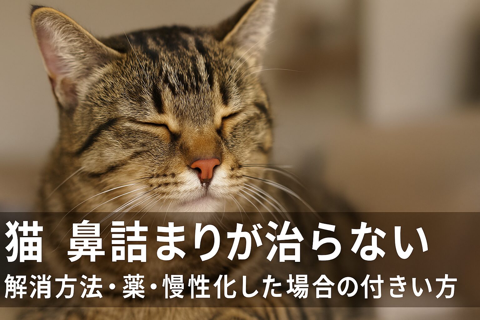 猫　鼻詰まり　治らない　解消　薬