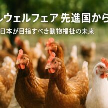 アニマルウェルフェア先進国とは？世界と日本の現状、今後の課題を徹底解説