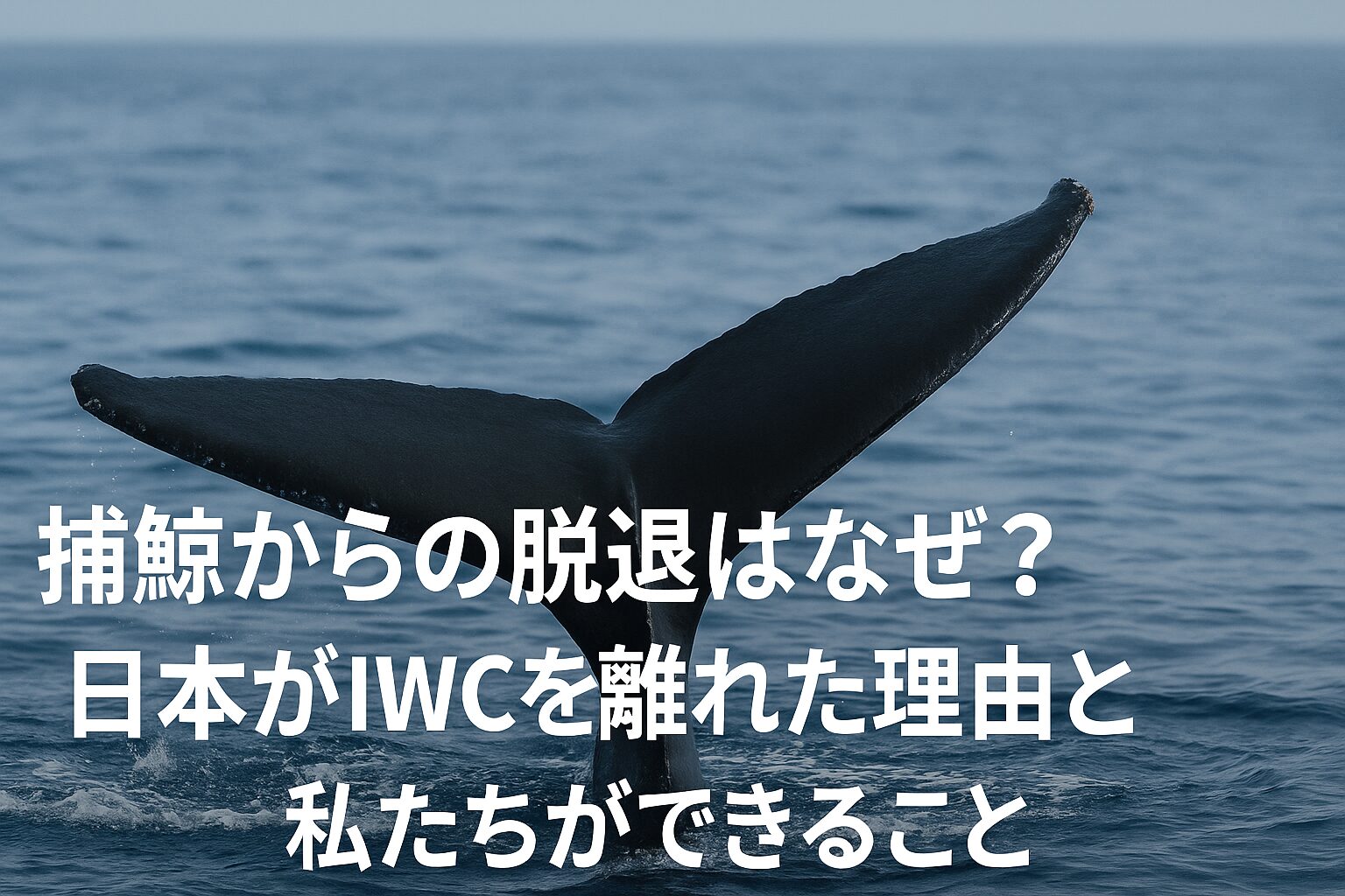 捕鯨 日本 脱退 なぜ