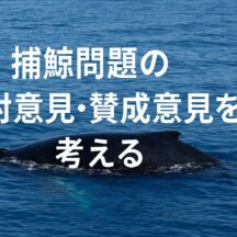 捕鯨問題の反対意見・賛成意見を考える｜文化と命の狭間で私たちが問われるもの
