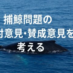 捕鯨問題の反対意見・賛成意見を考える｜文化と命の狭間で私たちが問われるもの
