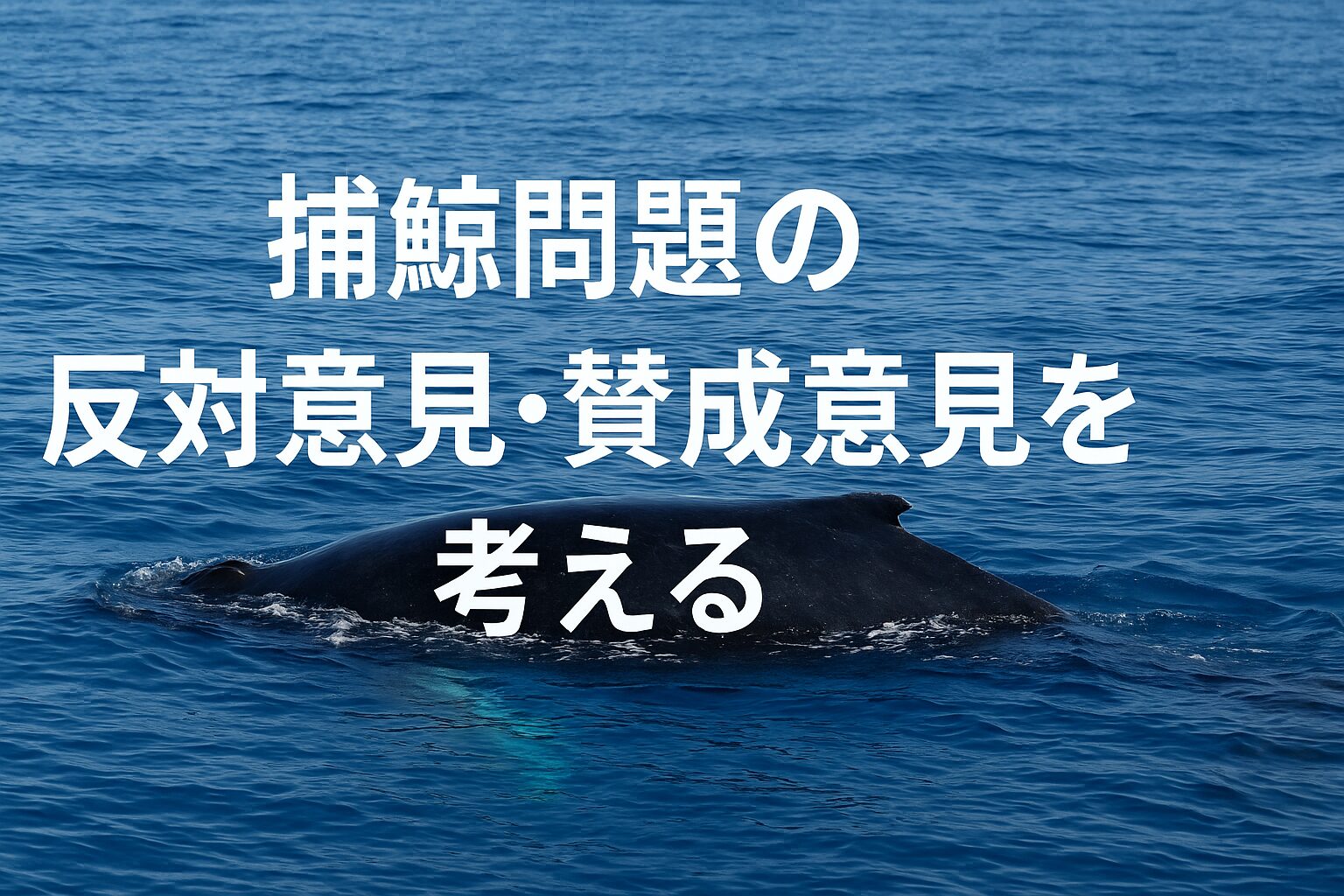 捕鯨問題 反対意見 賛成意見