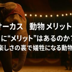 サーカスで動物を使うメリットは本当にあるのか？動物福祉の観点から考える