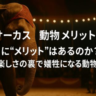 サーカスで動物を使うメリットは本当にあるのか？動物福祉の観点から考える