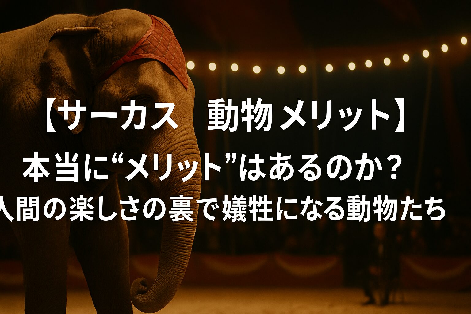 サーカス 動物 メリット