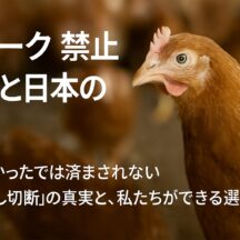 デビーク禁止へ：世界と日本の現状、そして私たちにできること