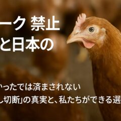 デビーク禁止へ：世界と日本の現状、そして私たちにできること