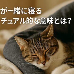 猫が一緒に寝るスピリチュアルな意味とは？運気が上がる位置と猫に関する神秘的なメッセージ