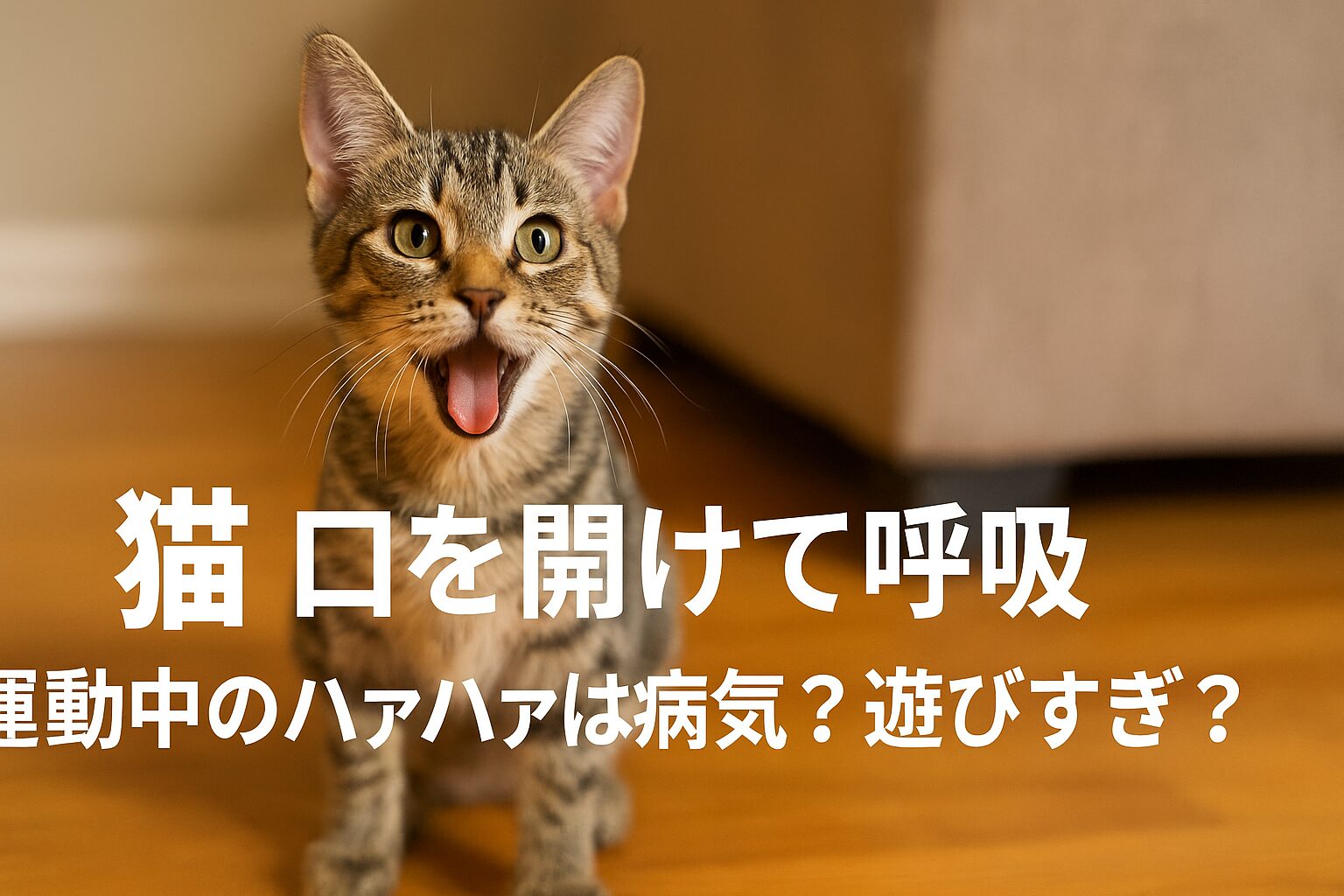 猫 口を開けて呼吸 運動