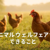 アニマルウェルフェア できること - 私たちの選択が未来を変える