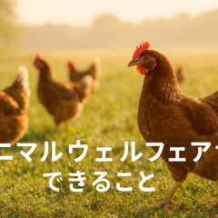 アニマルウェルフェア できること - 私たちの選択が未来を変える