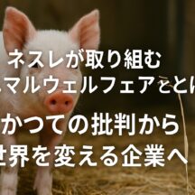 ネスレ アニマルウェルフェア:大企業の変革と私たち消費者が持つ力