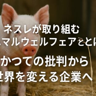 ネスレ アニマルウェルフェア:大企業の変革と私たち消費者が持つ力
