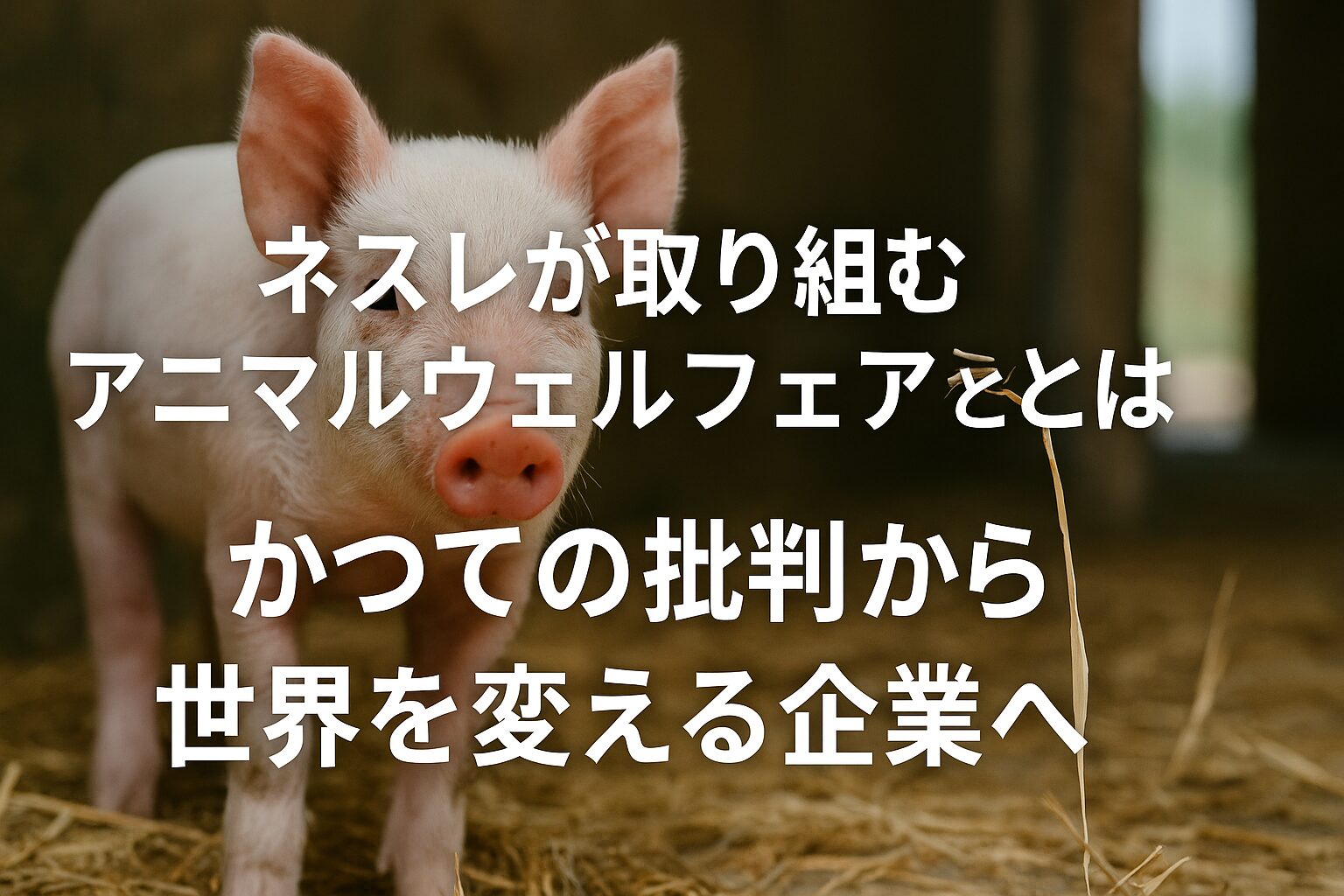 ネスレ アニマルウェルフェア