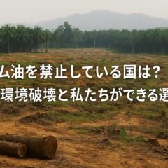 パーム油禁止国の現状と環境破壊の深刻な実態